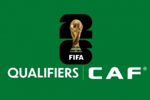 世預(yù)賽非洲區(qū)附加賽：尼日利亞對加蓬，喀麥隆對民主剛果