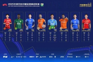 中超官方11月最佳候選：瓦科、吳曦、法比奧、王燊超在列
