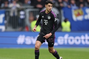 埃貝爾：帕夫洛維奇似乎是肌肉拉傷，希望他問題不大但我沒法診斷