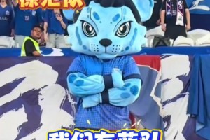 蘇超聯(lián)賽爆火后，網(wǎng)友暢想上海版“滬超” ,“沒有假球,全是世仇!”