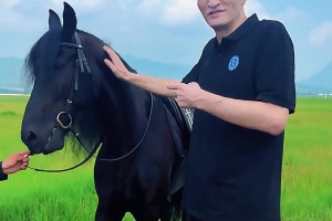 跟約老師PK一下哈！巴特爾草原上騎馬 結(jié)果馬直接罷工不走了~